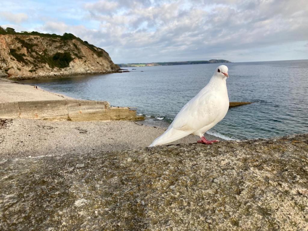 Stunning Apartment, Balconies, Private Beach, Coast Path Charlestown (Cornwall) Eksteriør billede